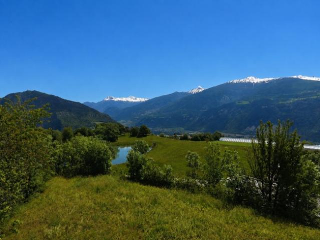 Einfamilienhaus kaufen in Grimisuat, Wallis