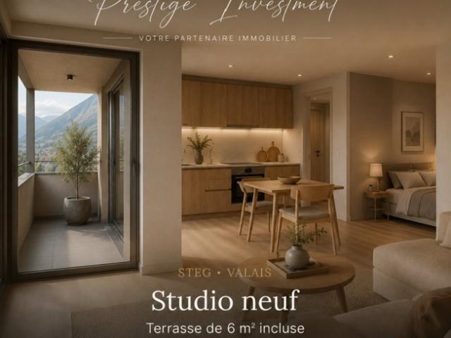 Wohnung kaufen in Steg (VS), Wallis
