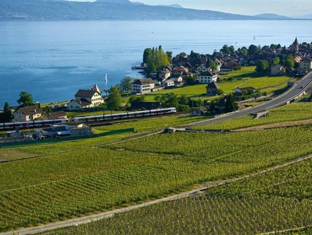 Wohnung kaufen in Cheseaux-Lausanne, Waadt