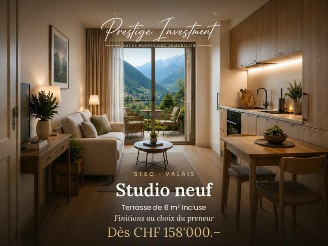 Wohnung kaufen in Steg (VS), Wallis