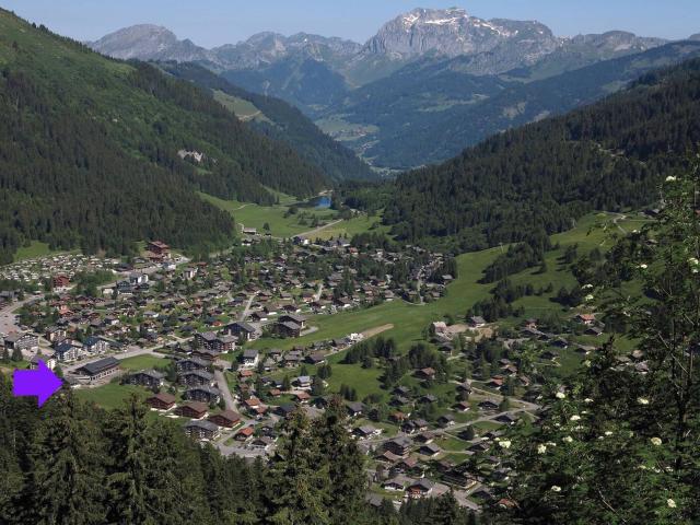 Apartment kaufen in Troistorrents, Wallis