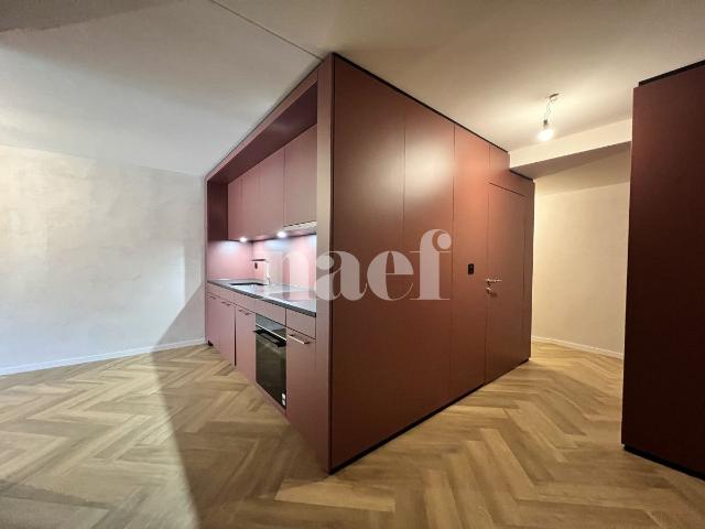Apartment mieten in Villars, Freiburg