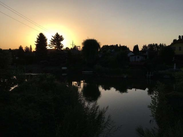 Haus kaufen in Steinbrunn, Burgenland