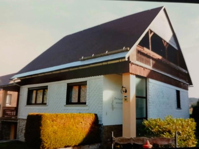 Villa kaufen in Limbach, Neuhaus am Rennweg