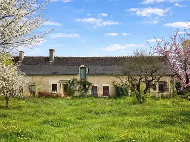 Maison vente à Chinon, Neuillé-pont-pierre