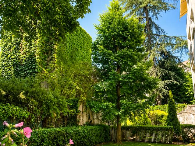 Appartement vente à Nanterre, Neuilly-sur-seine