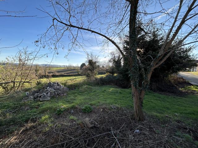 Terrain vente à France métropolitaine, Neulise