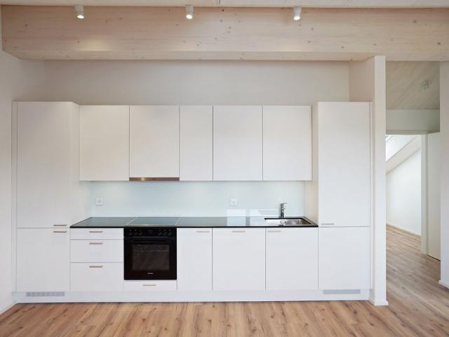 Apartment mieten in Ganzenbühl, Winterthur