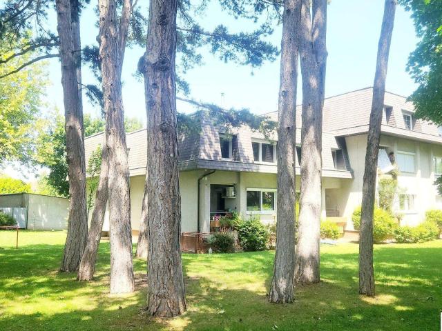 Apartment kaufen in Perchtoldsdorf, Niederösterreich