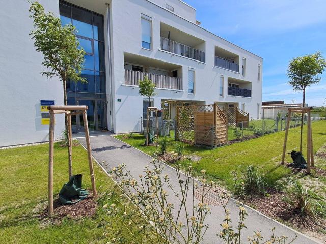 Apartment mieten in Mitterstockstall, Kirchberg am Wagram
