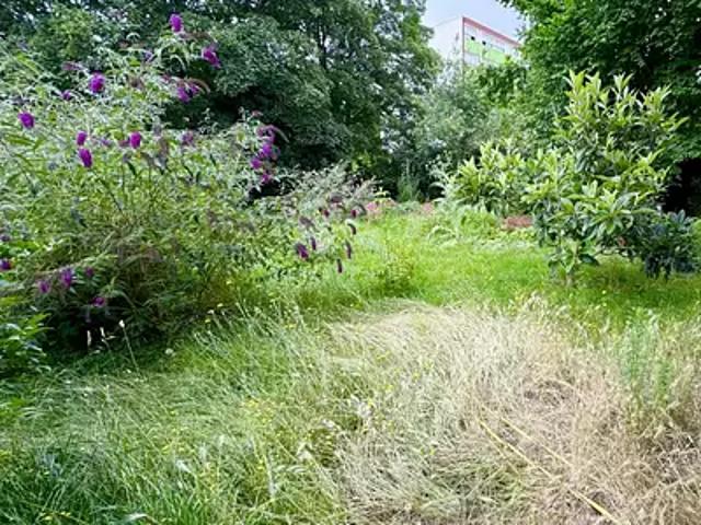 Terrain vente à Orléans, Neuville-aux-bois