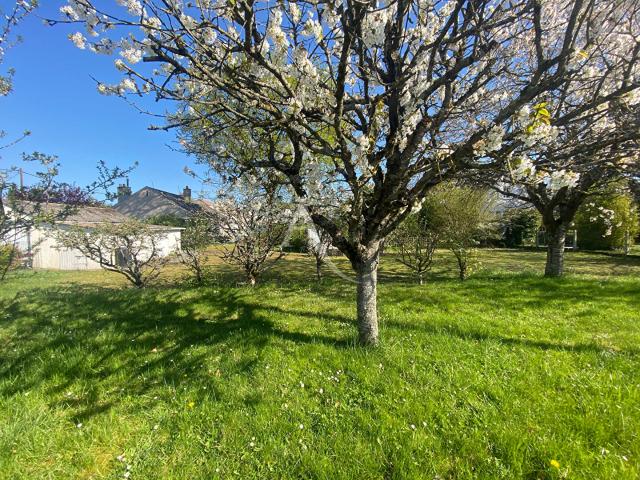 Terrain vente à Orléans, Neuville-aux-bois