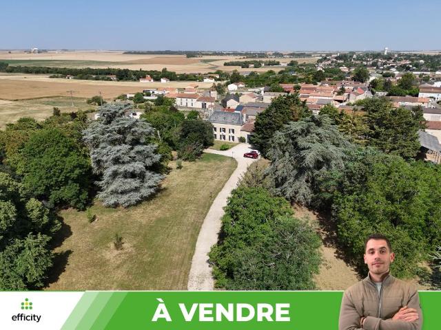 Château vente à Poitiers, Neuville-de-poitou