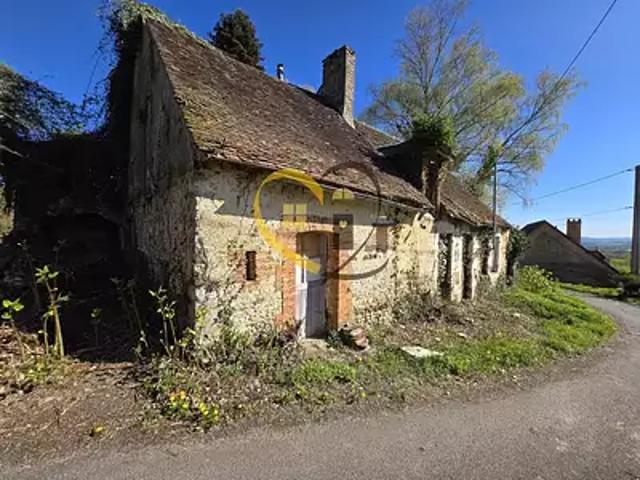 Maison vente à Bourges, Henrichemont