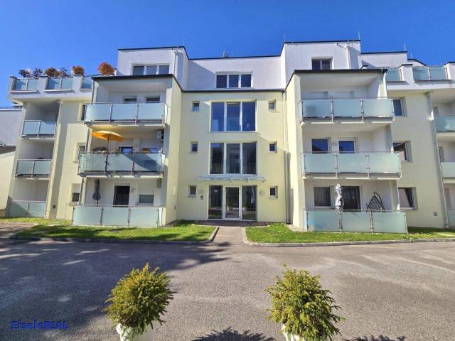 Apartment mieten in Schöffelstadt, Mödling