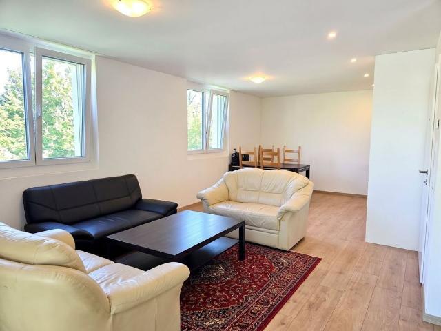 Apartment mieten in Zullwil, Amtei Dorneck-Thierstein