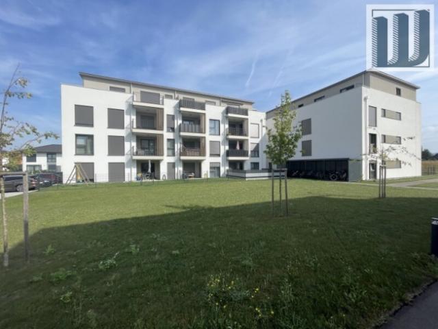 Wohnung mieten in Ebersdorf, Ober-Grafendorf