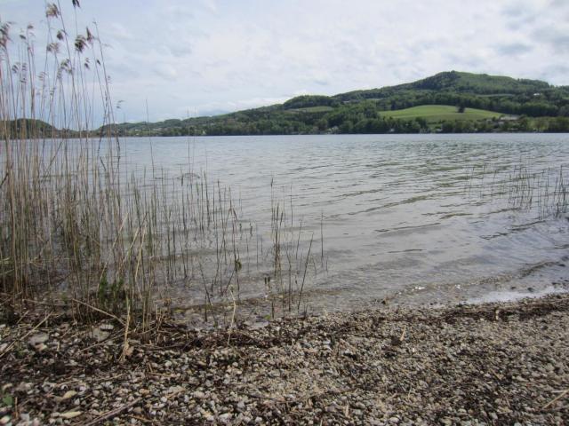 Apartment mieten in Matzing, Seeham