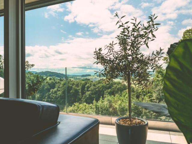 Immobilie kaufen in Vechigen, Bern