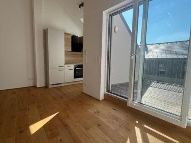 Apartment mieten in Perchtoldsdorf, Niederösterreich