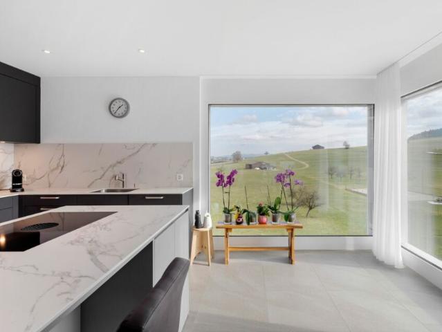 Attikawohnung kaufen in Busswil (TG), Thurgau