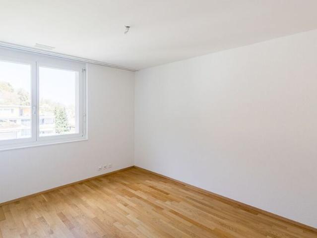 Apartment mieten in Brugg (AG), Aargau