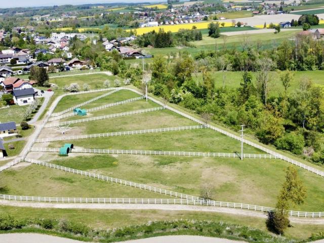 Landwirtschaft kaufen in Aurolzmünster, Oberösterreich