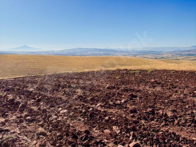Aşağıbarak Köyü, Hacıbektaş içerisinde satılık Arsa