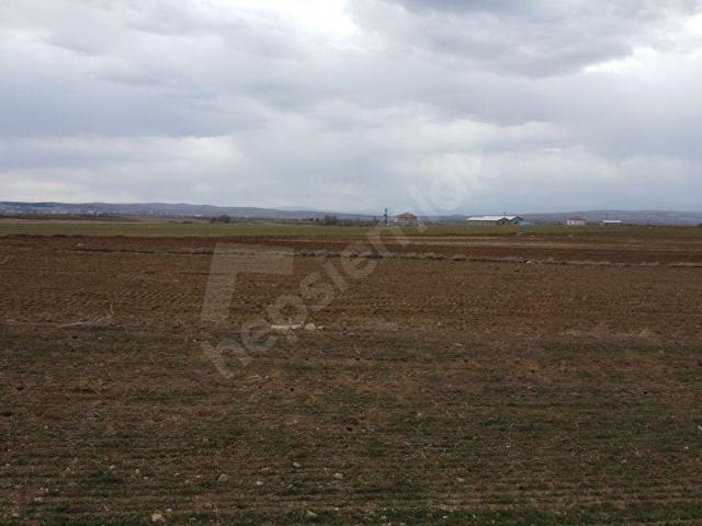 Hacibektaş, Nevşehir içerisinde satılık Arsa