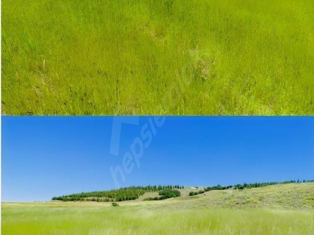 Avanos, Nevşehir içerisinde satılık Dükkan