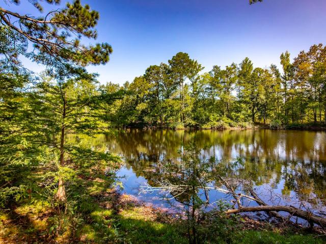 Land for sale in Ark