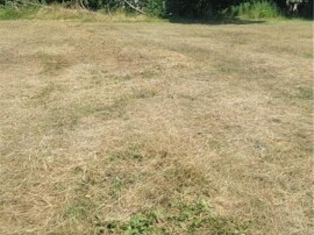 Land for sale in Buffalo, New York