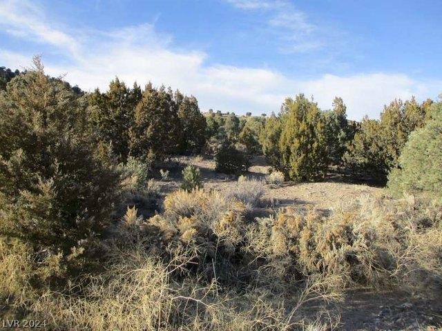 Land for sale in Pioche, Nevada