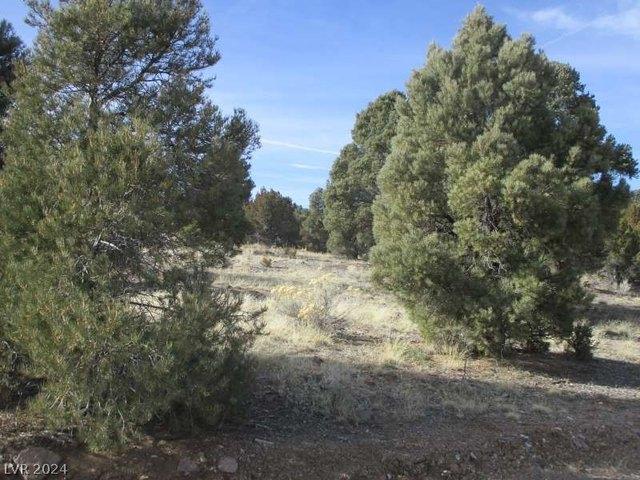 Land for sale in Pioche, Nevada