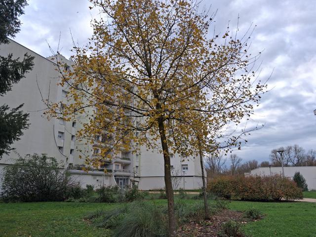 Appartement vente à Nevers