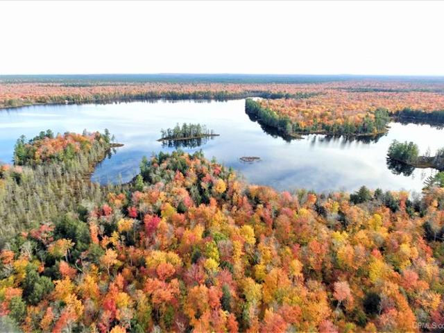 Land for sale in Shingleton, Michigan