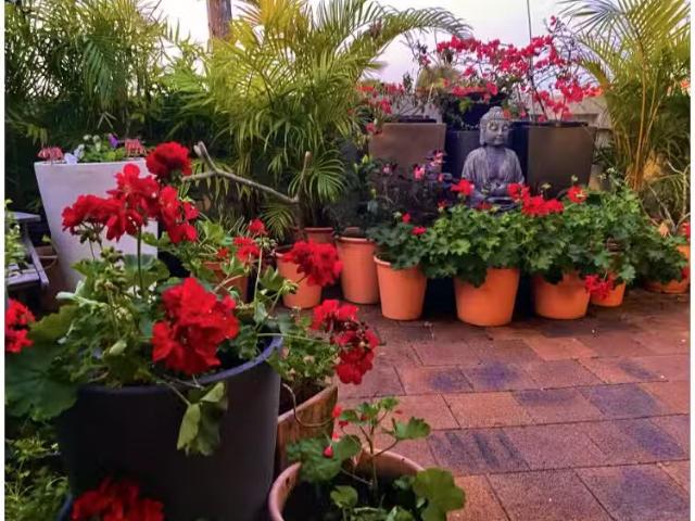 House for rent in Ballina, New South Wales
