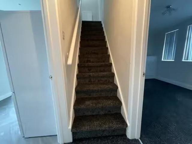 House to rent