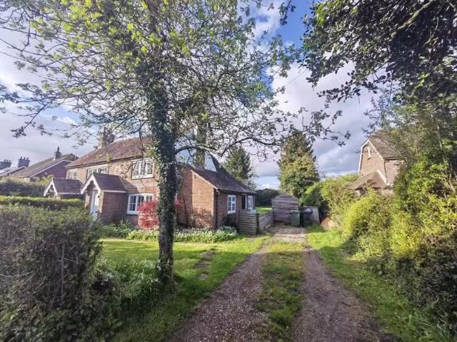 House for rent