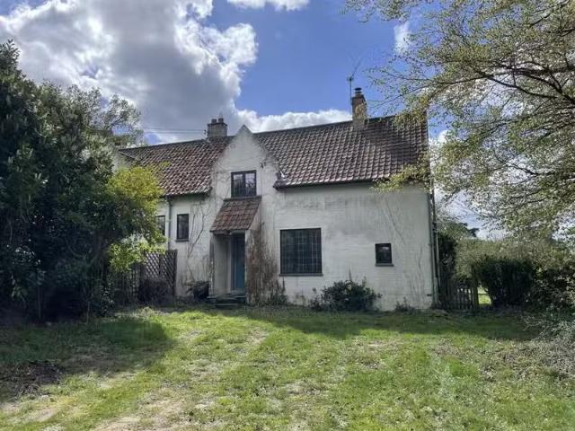 House for rent
