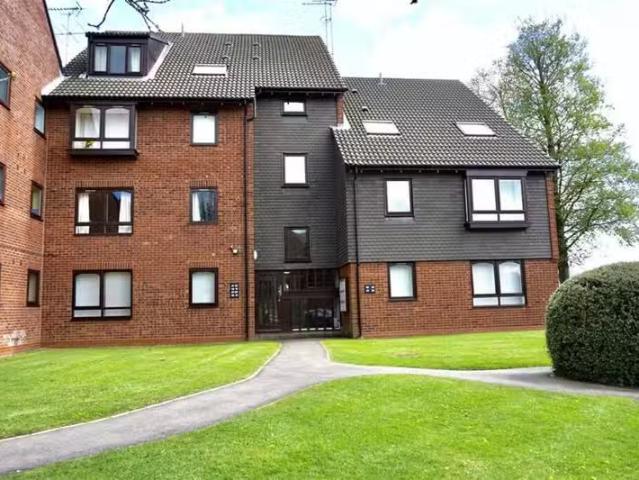 House for rent