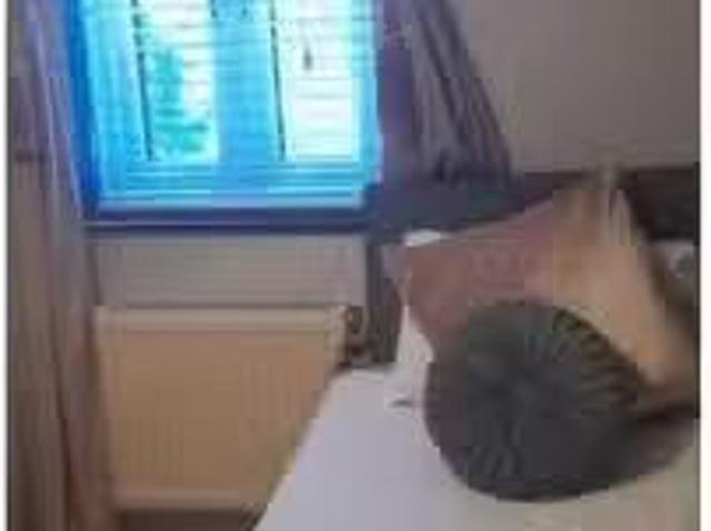 House to rent in Tallaght, North Tipperary