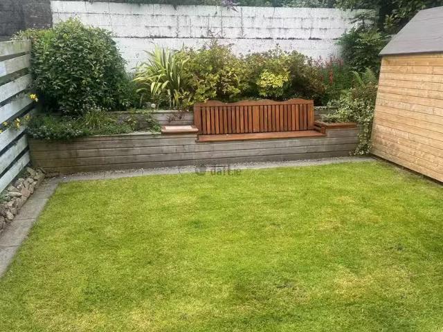 House to rent