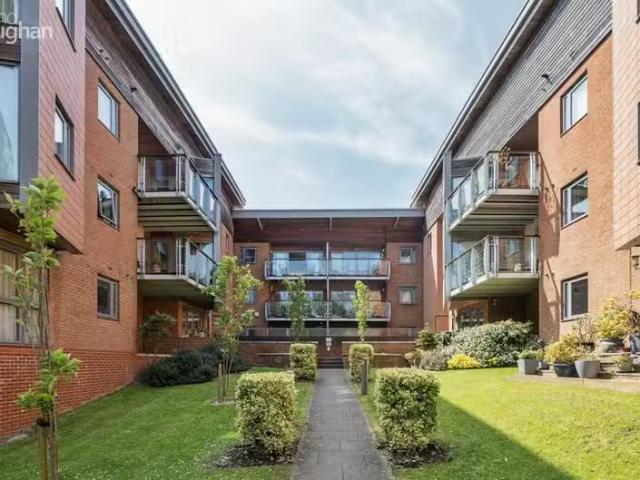 House for rent in East Sussex, England