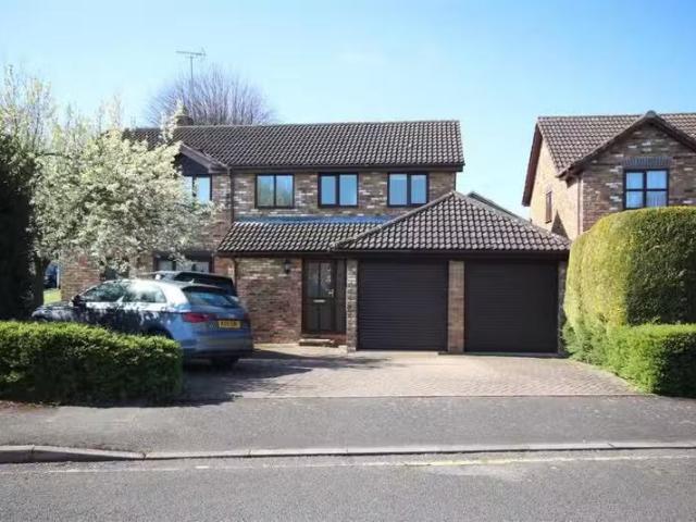 House for rent