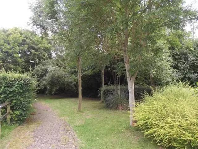 House for rent in Chipping Hill, Essex