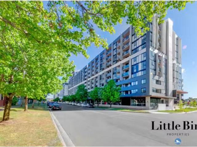 Apartment for rent in Greenway, Australian Capital Territory