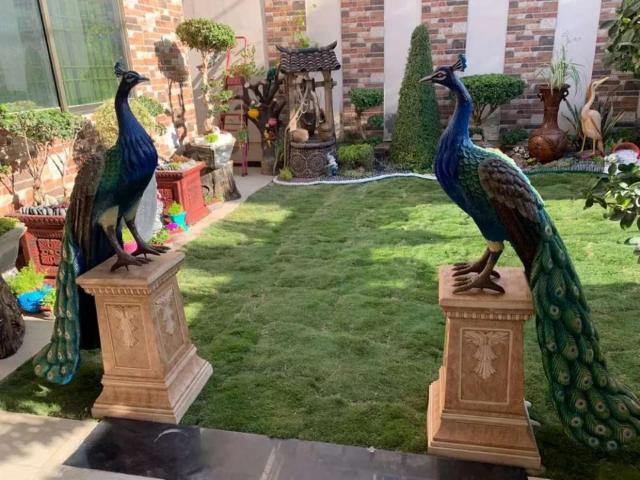 Apartment for sale in North Waziristan, Federally Administered Tribal Areas fata