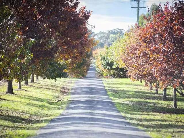 House for rent in Canyonleigh, New South Wales
