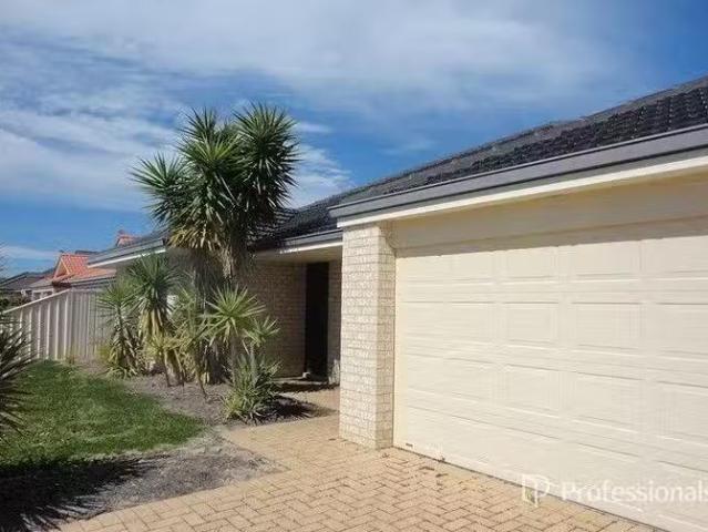 House for rent in Wattle Grove, Western Australia